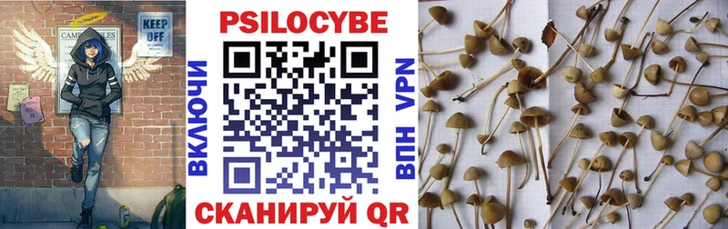 даркнет какой сайт  Неман  Галлюциногенные грибы GOLDEN TEACHER 